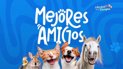 tn7-publireportaje-banco-popular-100925