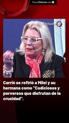 Carrió se refirió a Milei y su hermana como "Codiciosos y perversos que disfrutan de la crueldad".