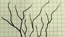 Mostro a4 disegno