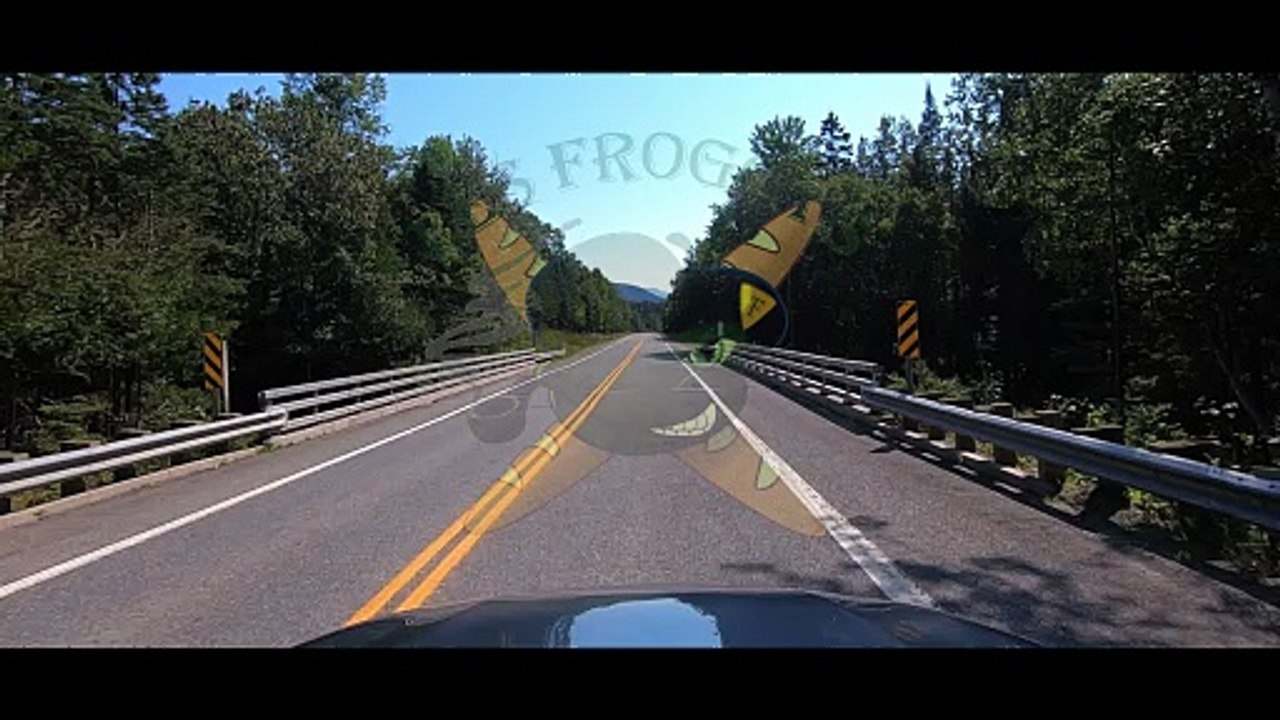 Les Froggys - On Partira (Clip Officiel)