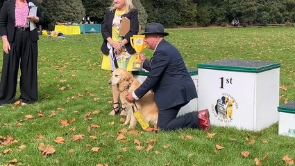 Steve Darling and guide dog Jennie win the hearts of Westminster’s Dog of the Year