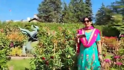 Sayonara Sayonara by Chitralekha Dixit