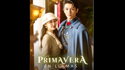 Primavera en LLamas en Español