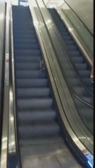 El vídeo viral de un gato intentando subir las escaleras mecánicas