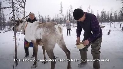 Frozen World: How Siberians Live, Eat & Shower at −71°C
