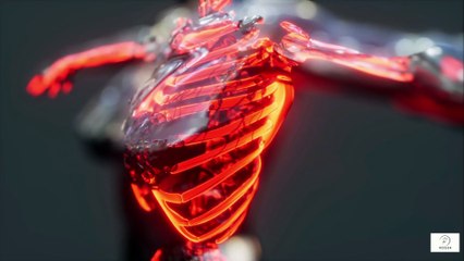 👉 “Foods Over 60 Should Avoid High-Salt Pickles & Sauces – Protect Your Joints & Bones”