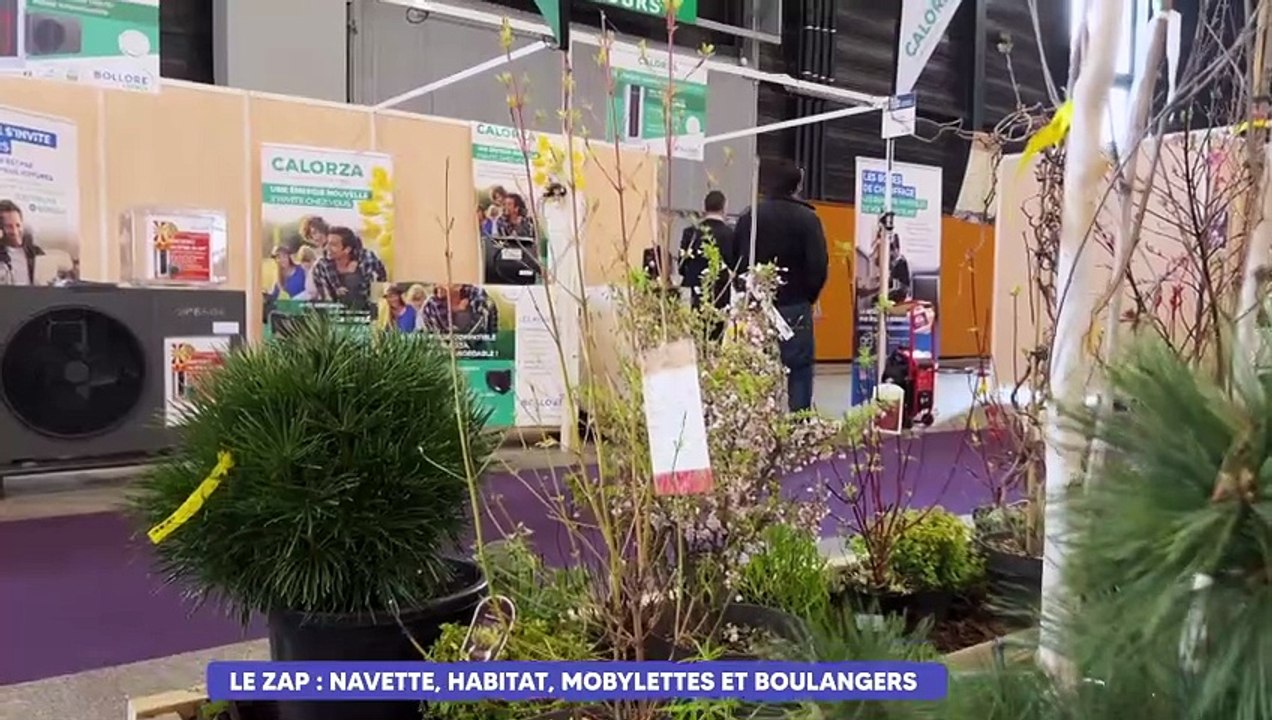 Le Zap : des boulangers mosellans bientôt dans une émission télévisée