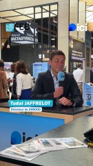 Rencontre avec Tudal JAFFRELOT, directeur adjoint de Dimood