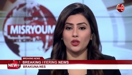 هارب من حكم مؤبد.. ضبط صانعة محتوى بثت فيديوهات مخلة بالآداب