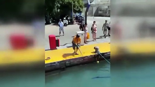 Bodrum Limanı’nda koruma altındaki mavi yelkenli balık katledildi