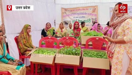 मेरठ की 'हाईटेक नर्सरी वाली दीदी'; किसानों के लिए तैयार कर रहीं खास पौधे, 10 महिलाओं का बनाया आत्मनिर्भर