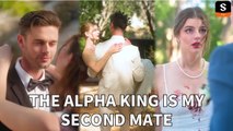 The Alpha king Is My Second Mate Full Movie