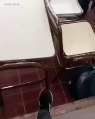 Una alumna llevó un arma a un colegio de Mendoza y efectuó varios disparos