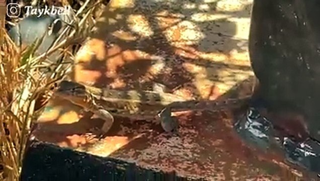 NYC VLOG Exploring new parts of the city (and getting ready for a ~special~ event)