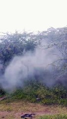 Beautiful rain shorts video in tamil for shorts feed | #shorts