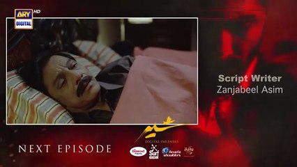 Sher Episode 33 Teaser Danish Taimoor Sarah_Khan___ARY_Digital_Drama(360p)