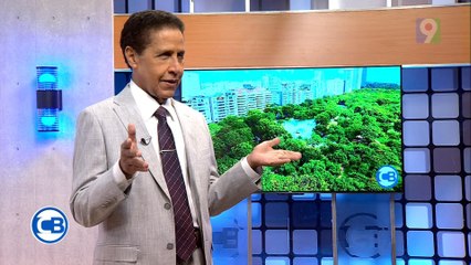 Carlos Batista defiende la economía Naranja |Con Los Famosos