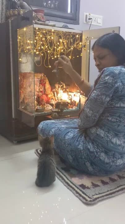 Cat Calmly Joins Woman While She Prays