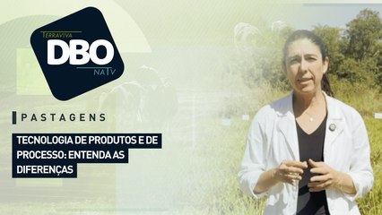 Pastagens: tecnologia de produtos e de processo: entenda as diferenças