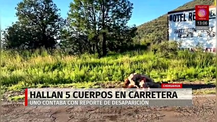 Hallan cinco cuerpos sin vida en carretera Madera-Temósachic, Chihuahua