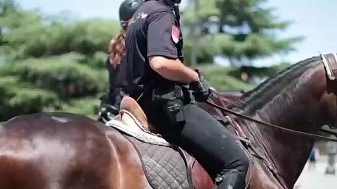 What is Law