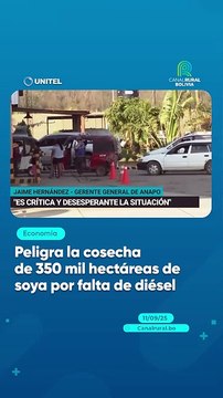Peligra la cosecha de 350 mil hectáreas de soya por falta de diésel