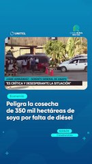 Peligra la cosecha de 350 mil hectáreas de soya por falta de diésel