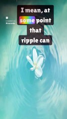 Ripples to tidal waves: Tonya Todd on Around the Table with the AOTR