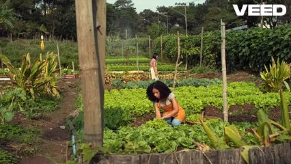 Building the Future of Farming | Innovation & Technology in Agriculture - John Sedgwick St. Louis