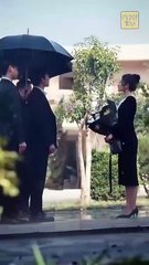 Honoring Loved Ones: Our Forever Laid To Rest 🕊️