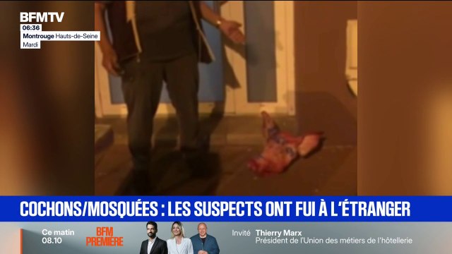 Têtes de porc décapitées devant des mosquées: la piste d'une ingérence étrangère privilégiée