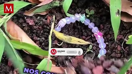 Oasis en México: fans recurren al dios Tláloc para evitar lluvia en los shows