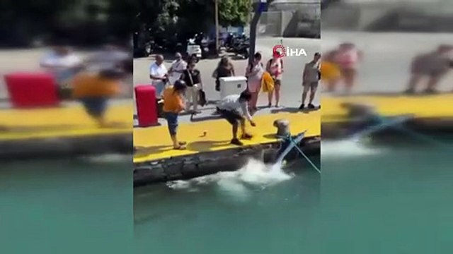 Nesli tükenme tehlikesi altındaki yelken balığına yaptıkları pes dedirtti