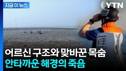밀물에 휩쓸리기 직전, 해경의 선택...코끝이 찡 [지금이뉴스]  / YTN