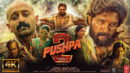 Pushpa 2 Hindi: South Action Blockbuster