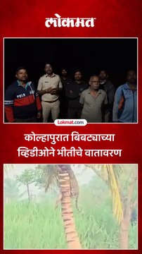 बिबट्या आला रे आला!! व्हायरल व्हिडिओने कोल्हापुरात शेतकऱ्यांमध्ये भीतीचे वातावरण
