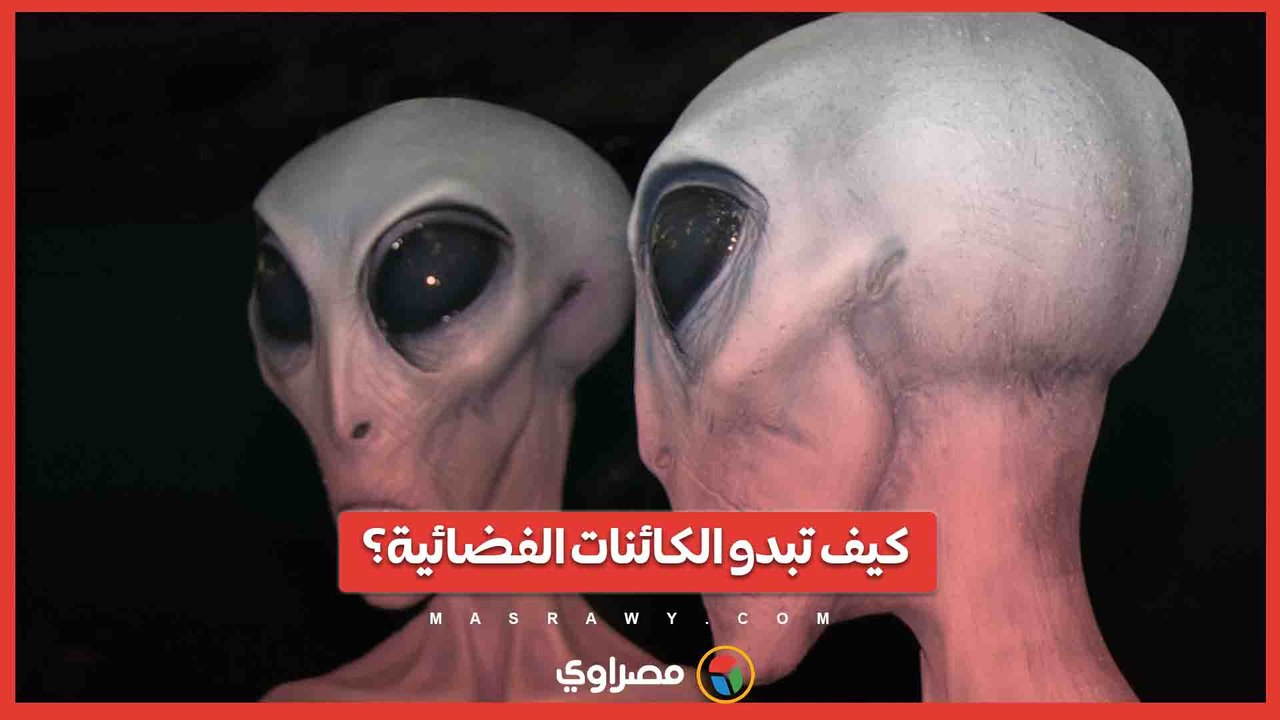 ليست كالبشر وتتكاثر بوسائل غريبة.. خبراء يضعون تصورات لأشكال الكائنات الفضائية