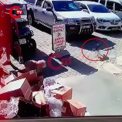 Antalya'da kediyi tekmeleyen kişiye gözaltı