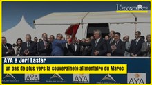 AYA à Jorf Lasfar : un pas de plus vers la souveraineté alimentaire du Maroc