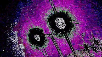 Tranced and Psychedelisized #164 - September 11, 2025