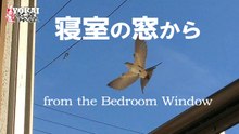 寝室の窓から / from the Bedroom Window