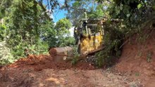 Optimizing Plantation Roads with the Help of D6R XL Bulldozers