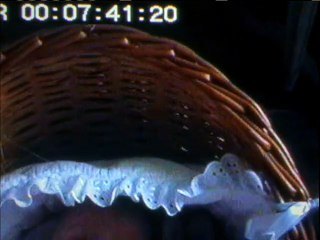 La Llamada 2000 Español Latino - The Calling - Fullscreen