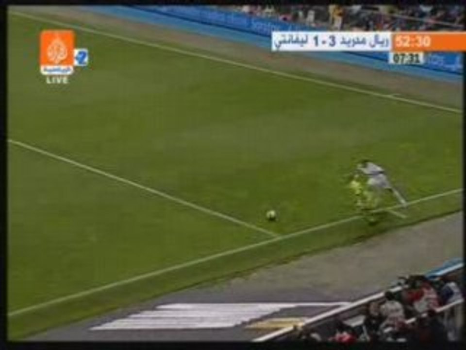 Reyal 31