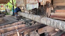 Improving the Cutting Efficiency of 5x7 Coconut Wood with a Sawmill