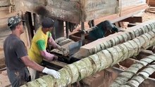 How to Adjust the Thickness of 5x7 Coconut Wood with a Sawmill