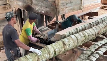 How to Adjust the Thickness of 5x7 Coconut Wood with a Sawmill