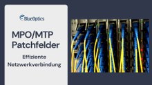 Alles über MPO/MTP Patchfelder mit BlueOptics Netzwerk-Lösungen