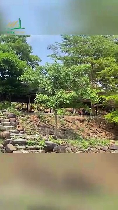 Trải nghiệm không gian ăn uống trong ngôi nhà tre uốn cong độc đáo - Tre trúc Ngọc Dương