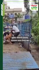 मुक्या जीवांची हेळसांड; प्रशासन न्याय देणार का?